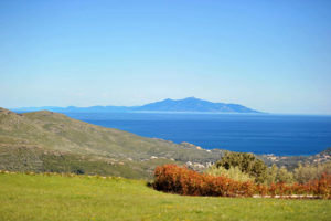 Le parc avec vue mer